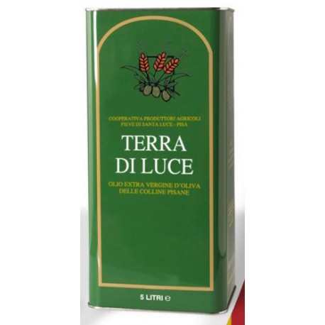 Olio extra vergine di oliva Lattina 5 lt