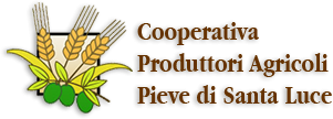 Cooperativa Produttori Agricoli Pieve Santa Luce